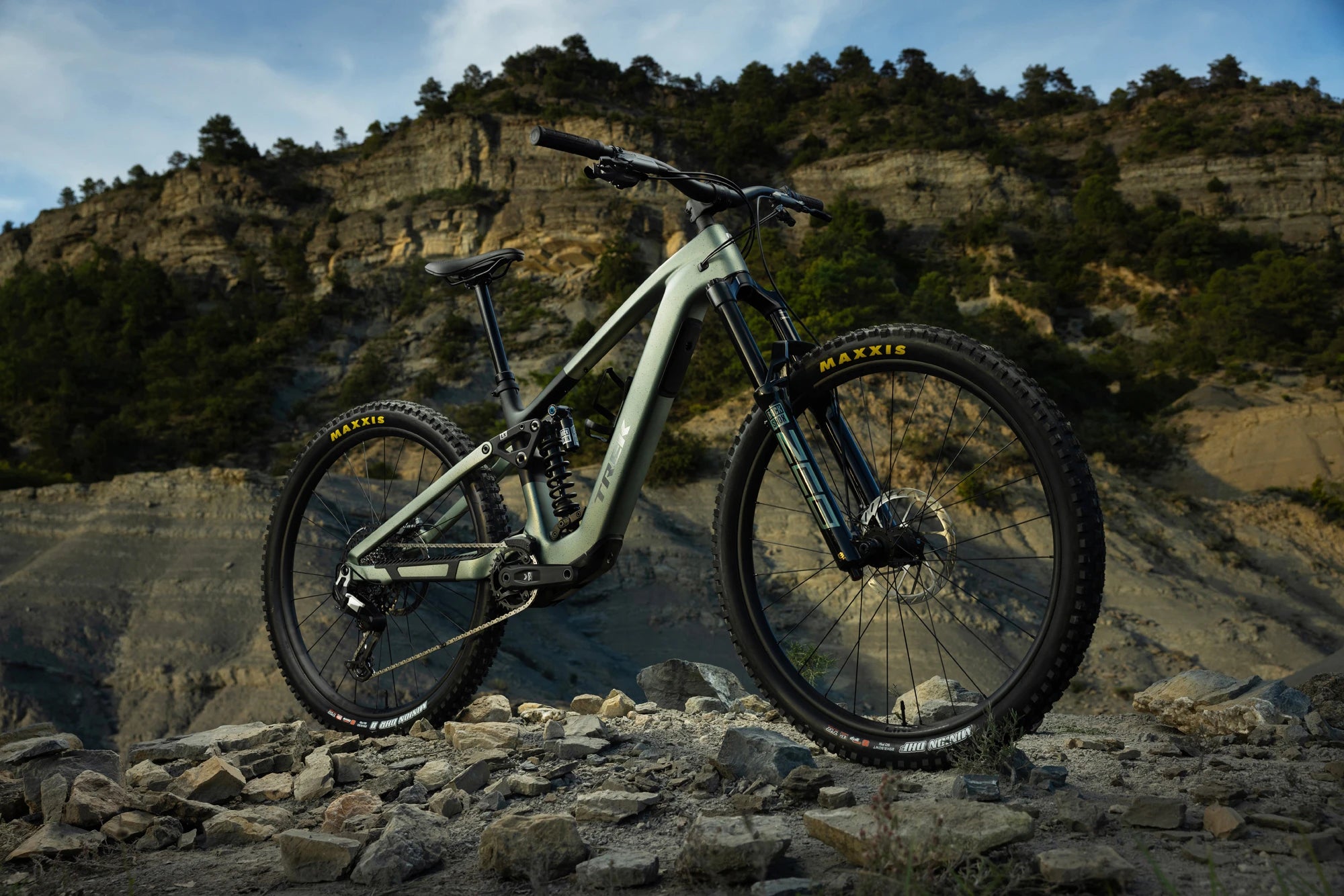 Trek Fuel+ E-MTB