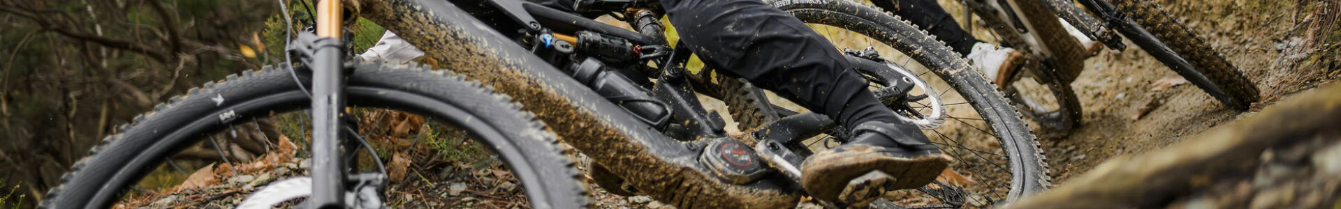 Herbstgold jetzt in den Herbst starten. Bikes und E-Bikes kaufen