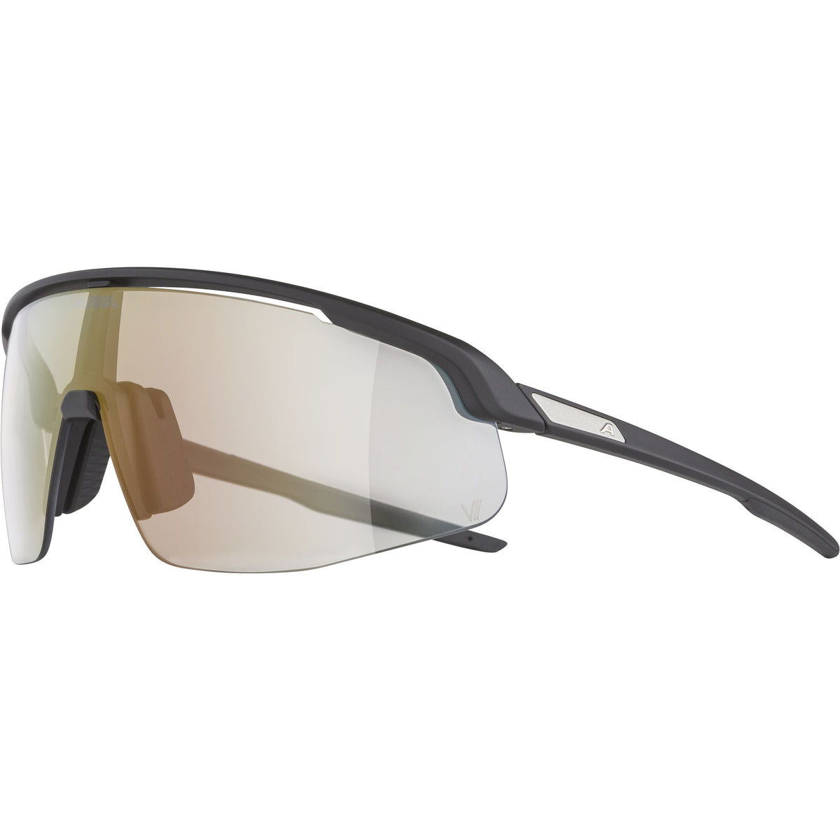 Alpina Turbo Pro V - Liquid-Life #Wähle Deine Farbe_black/clear grey/red