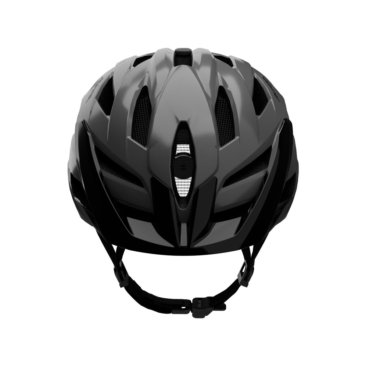 Alpina Panoma 4 Classic - Liquid-Life #Wähle Deine Farbe_midnight grey gloss