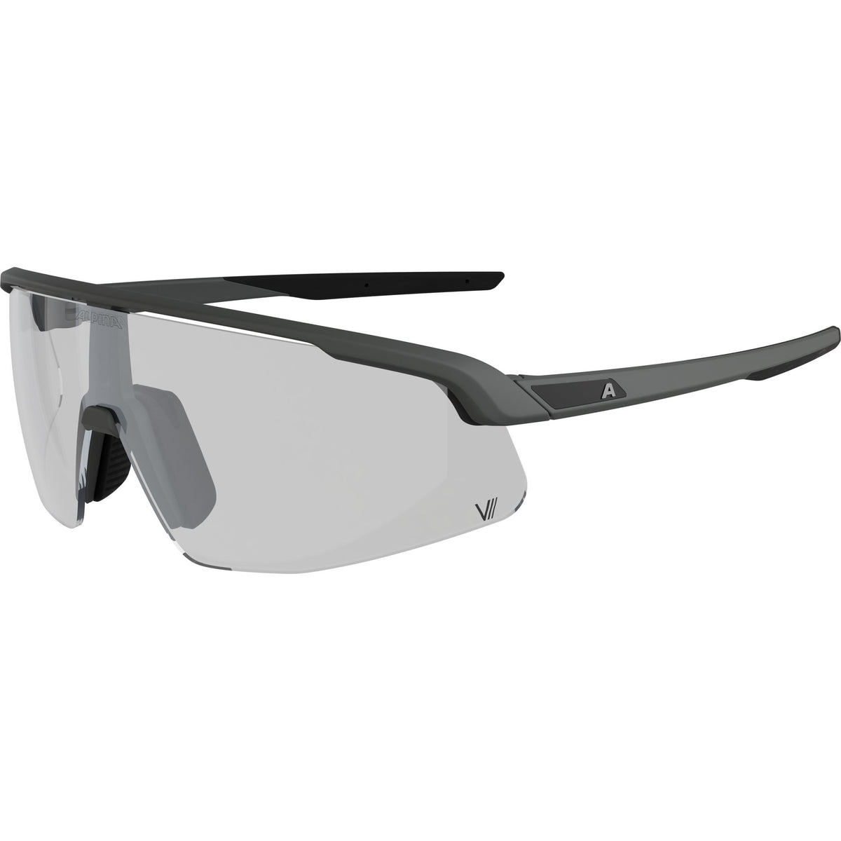 Alpina Turbo Pro V - Liquid-Life #Wähle Deine Farbe_grey matt/clear grey/blue