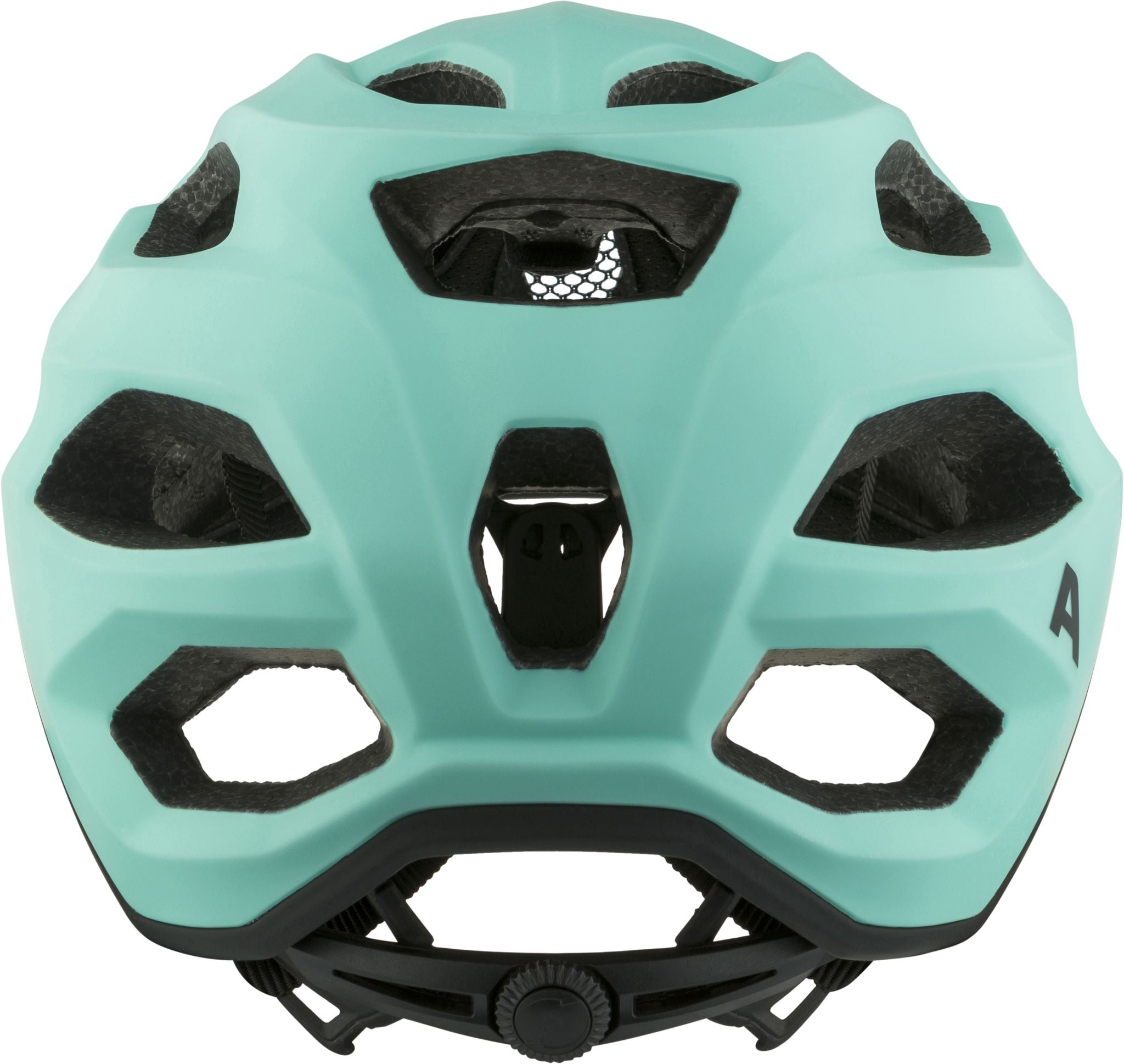 Alpina Carapax 2.0 - Liquid-Life #Wähle Deine Farbe_Tourquoise Matt