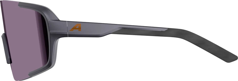 Alpina Lumin - Liquid-Life #Wähle Deine Farbe_gun/metal