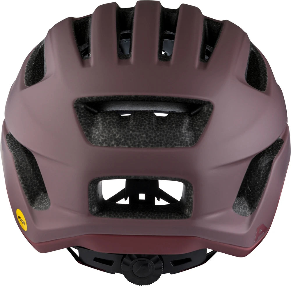 Alpina Paranus Mips - Liquid-Life #Wähle Deine Farbe_raisin