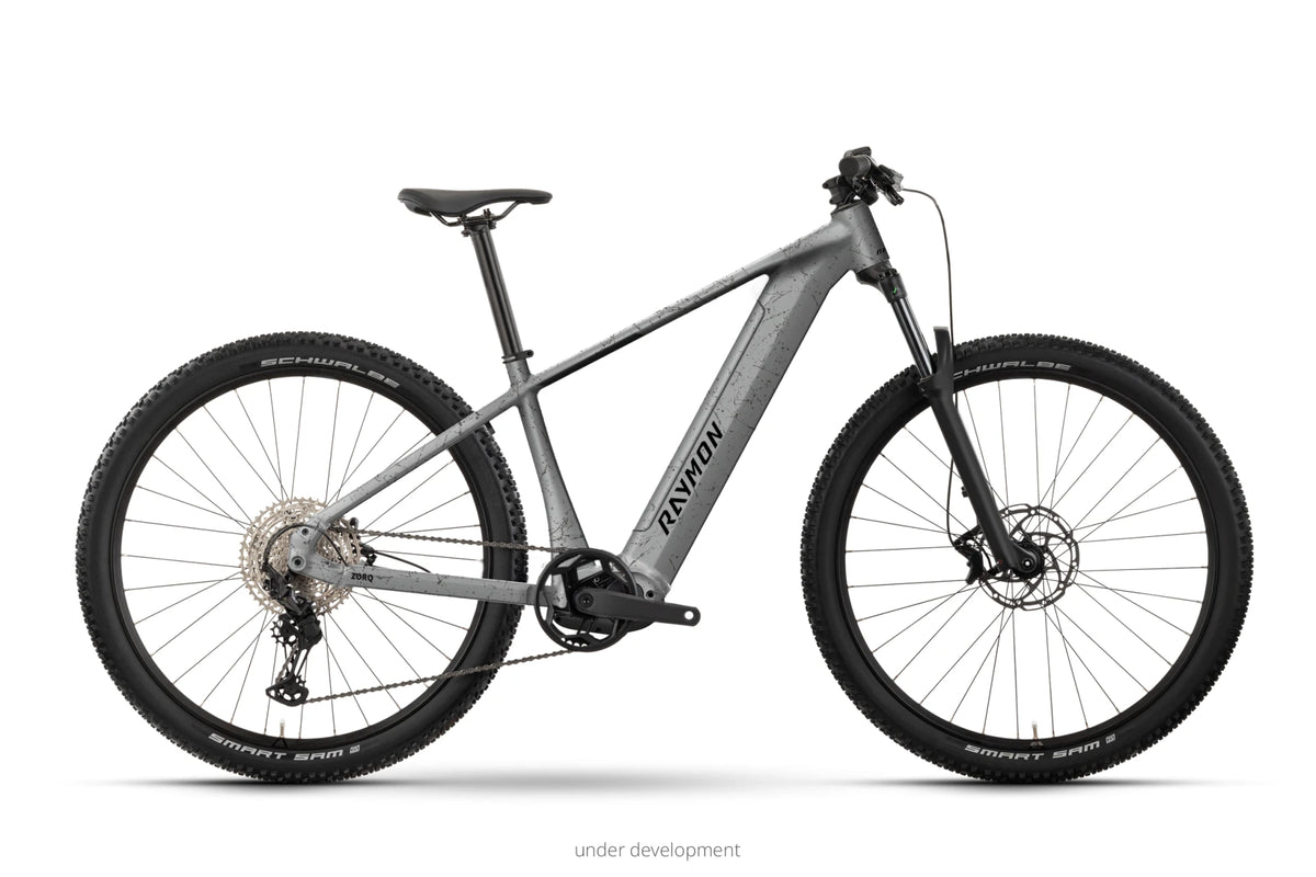 Raymon Zorq Pure 29" 8S Essa grey marble 2027