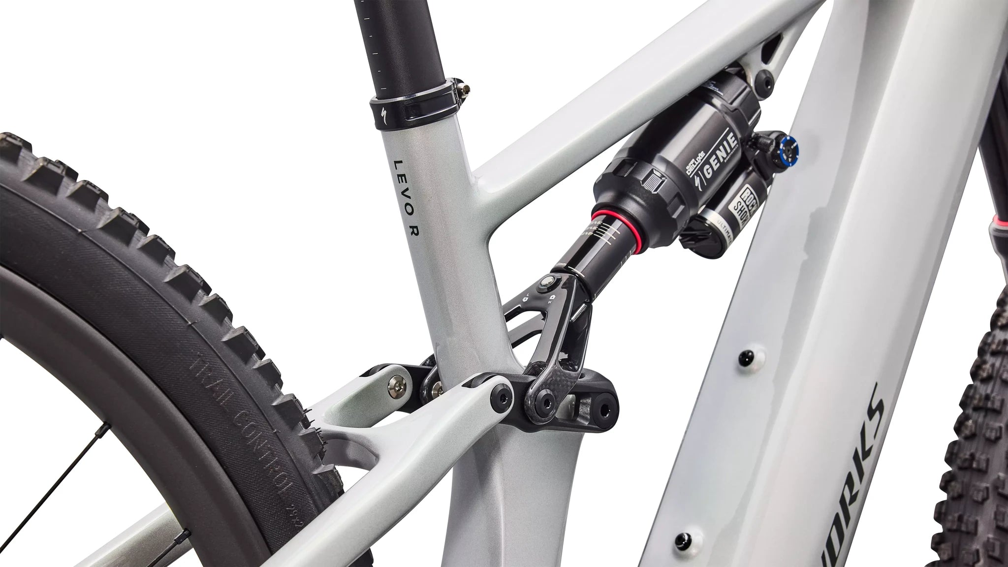Specialized S-Works Turbo Levo R Dolomite/Silver Green 2027