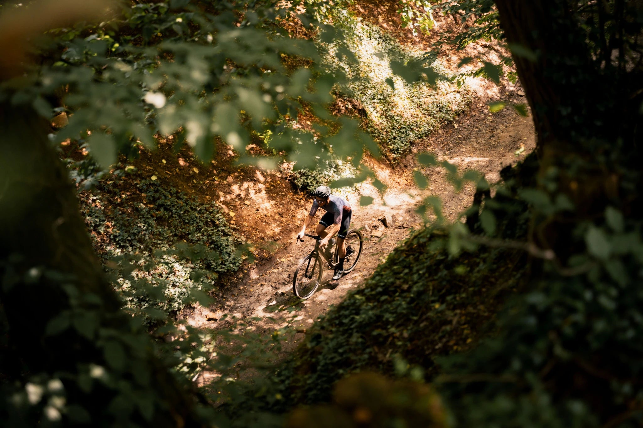 Radfahrer auf Schotterweg im Wald, wahrscheinlich Ridley Gravel Bike, für Outdoor-Abenteuer und Radsportfreunde.