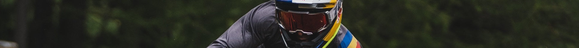 Ein Mountainbiker in bunter Ausrüstung und Helm fährt durch einen Wald.