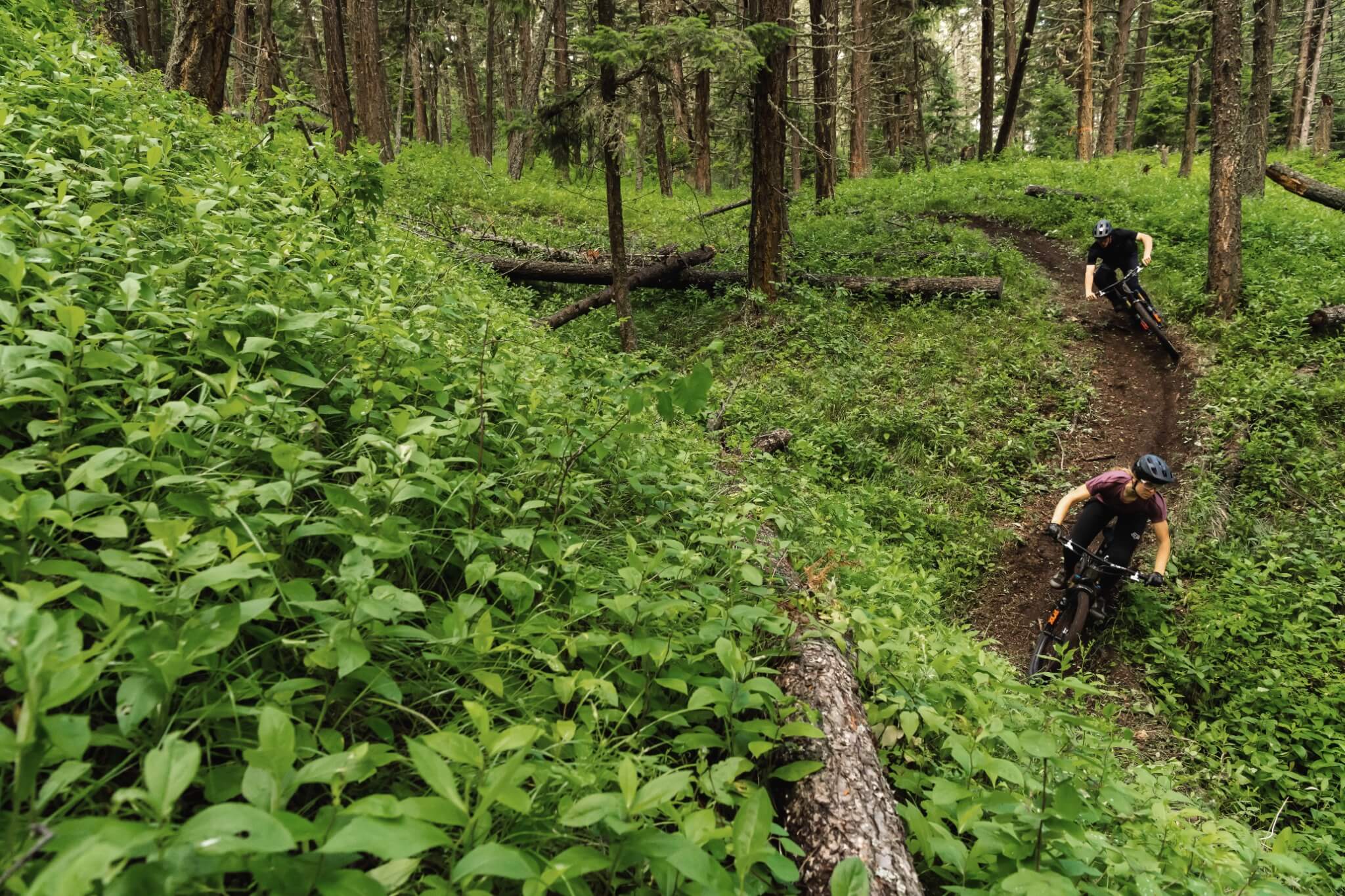 Zwei Mountainbiker auf einem engen Waldfahrradweg. Ideal für E-MTB-Hardtails wie das Ghost-Modell.