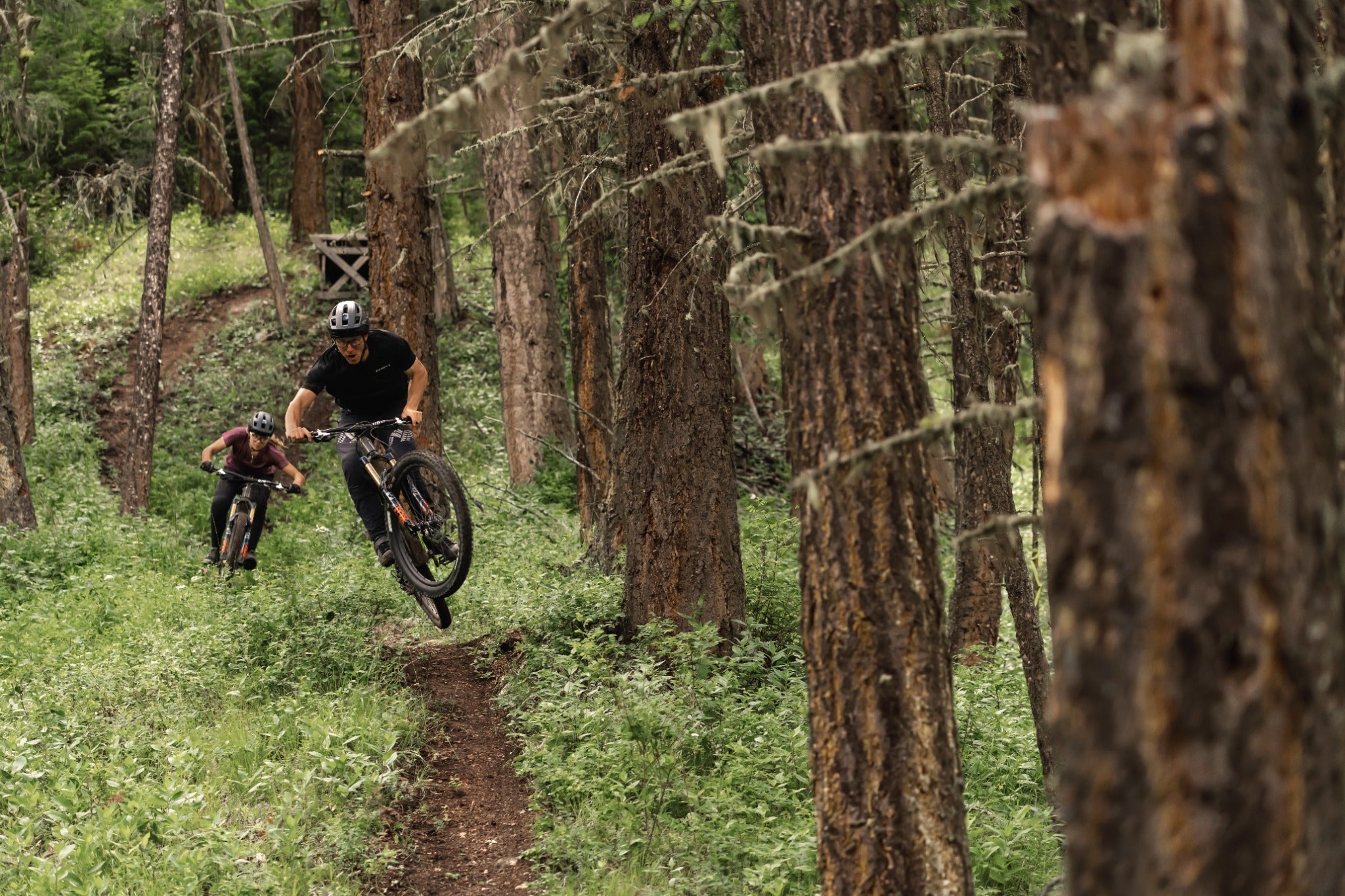 Zwei Mountainbiker fahren durch einen Waldpfad, einer springt über ein Hindernis.