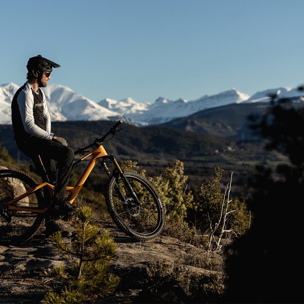 Mountainbiker auf orangefarbenem Fahrrad betrachtet schneebedeckte Berge in einer natürlichen Umgebung.