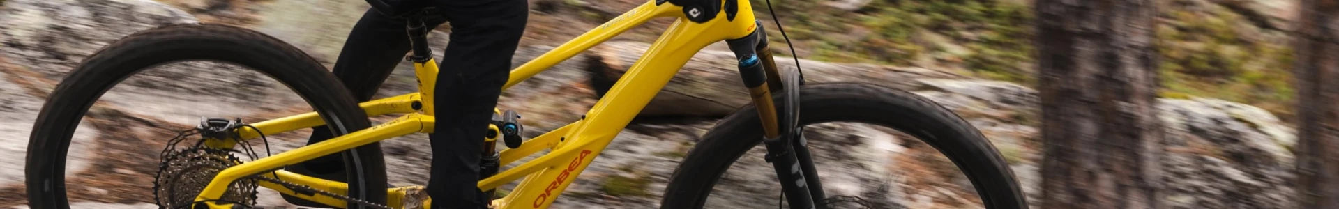 Orbea Wild LT Markenshop