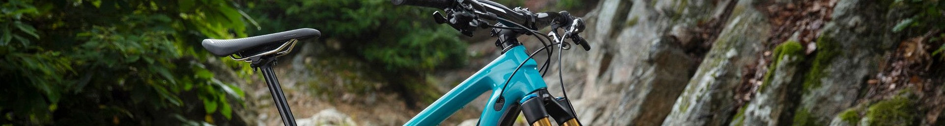 Türkisfarbenes Mountainbike, vermutlich Trek Remedy, in waldiger Umgebung. Ideal für Geländefahrten und Outdoor-Abenteuer.