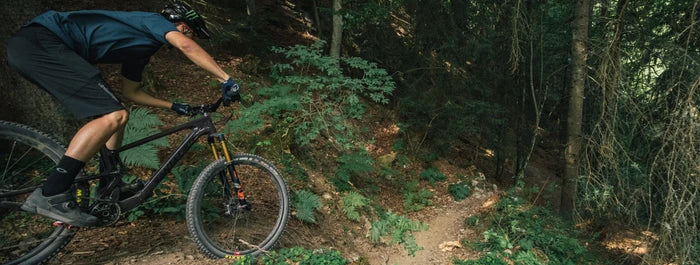 SSanta Cruz Tallboy Beraten und kaufen bei Liquid-life.de