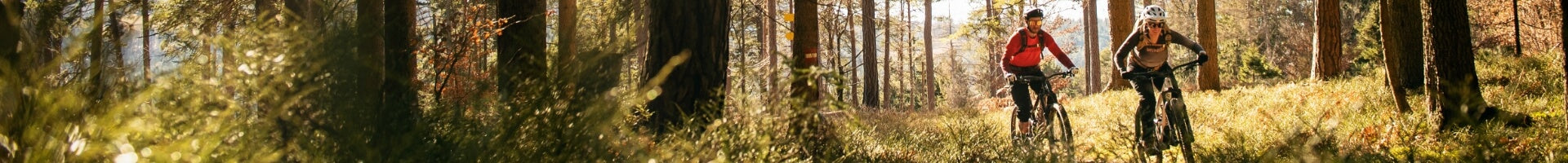 Zwei Personen fahren Specialized Chisel Mountainbikes auf einem Waldweg, umgeben von hohen Bäumen und Sonnenlicht.