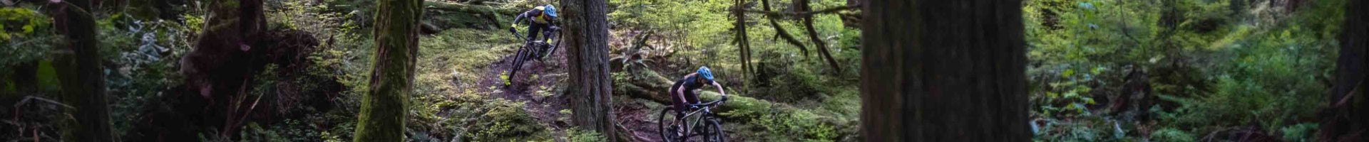 Zwei Personen fahren Specialized Epic Hardtail Mountainbikes im Wald auf einem schmalen, naturbelassenen Trail.