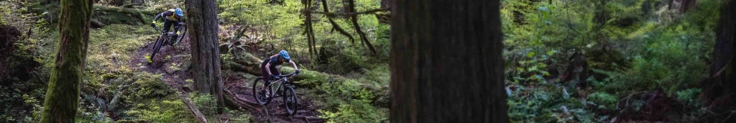 Zwei Mountainbiker mit blauen Helmen fahren durch einen dichten Wald auf einem schmalen, kurvigen Pfad.