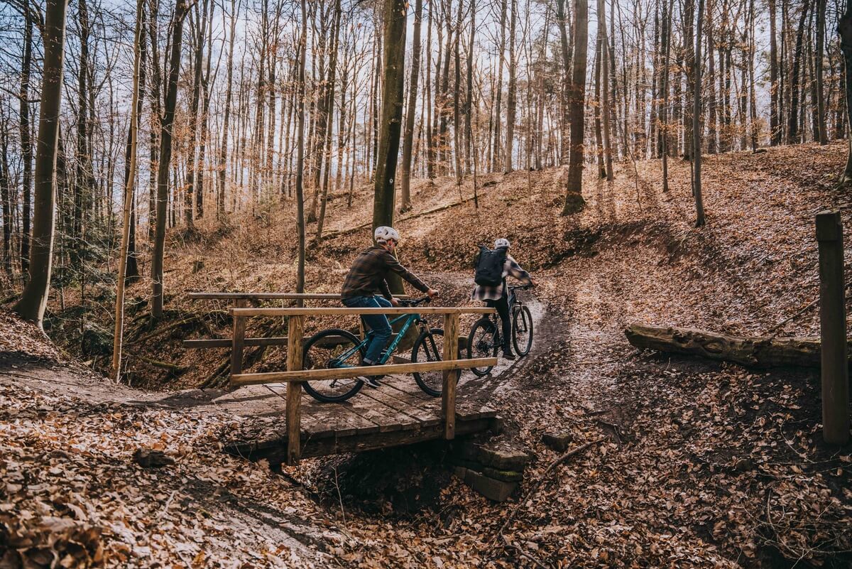 Zwei Personen auf Mountainbikes fahren über eine Brücke in einem herbstlichen Wald.