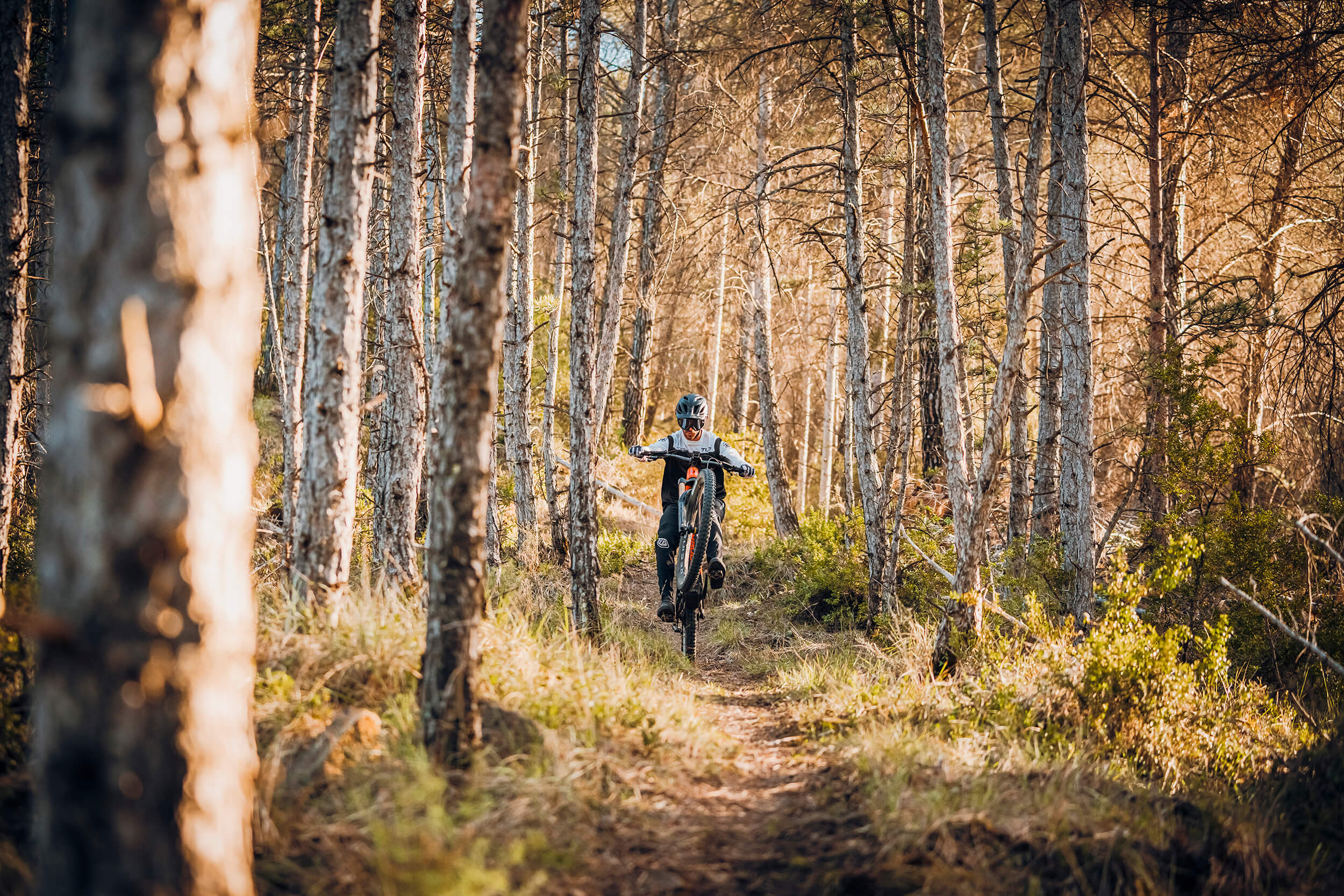 Person auf Mondraker E-MTB Hardtail fährt auf Waldweg zwischen Bäumen, ideal für Offroad-Abenteuer.
