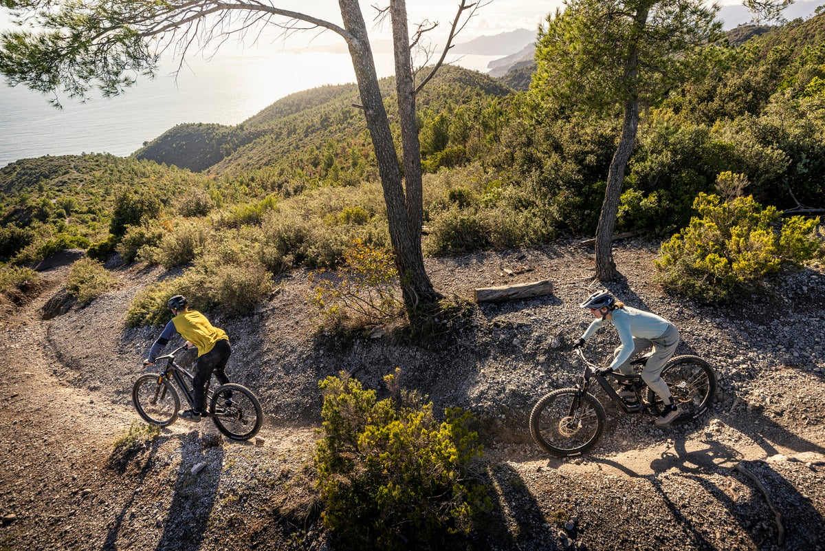 Zwei Personen fahren E-Mountainbikes auf einem kurvigen Waldweg mit Meerblick am Horizont.