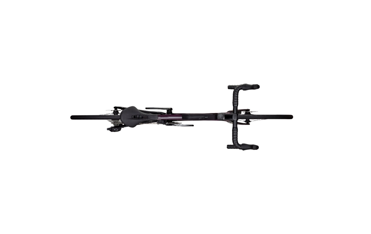 Focus Paralane 8.8 Darkviolet glossy / Carbon raw glossy