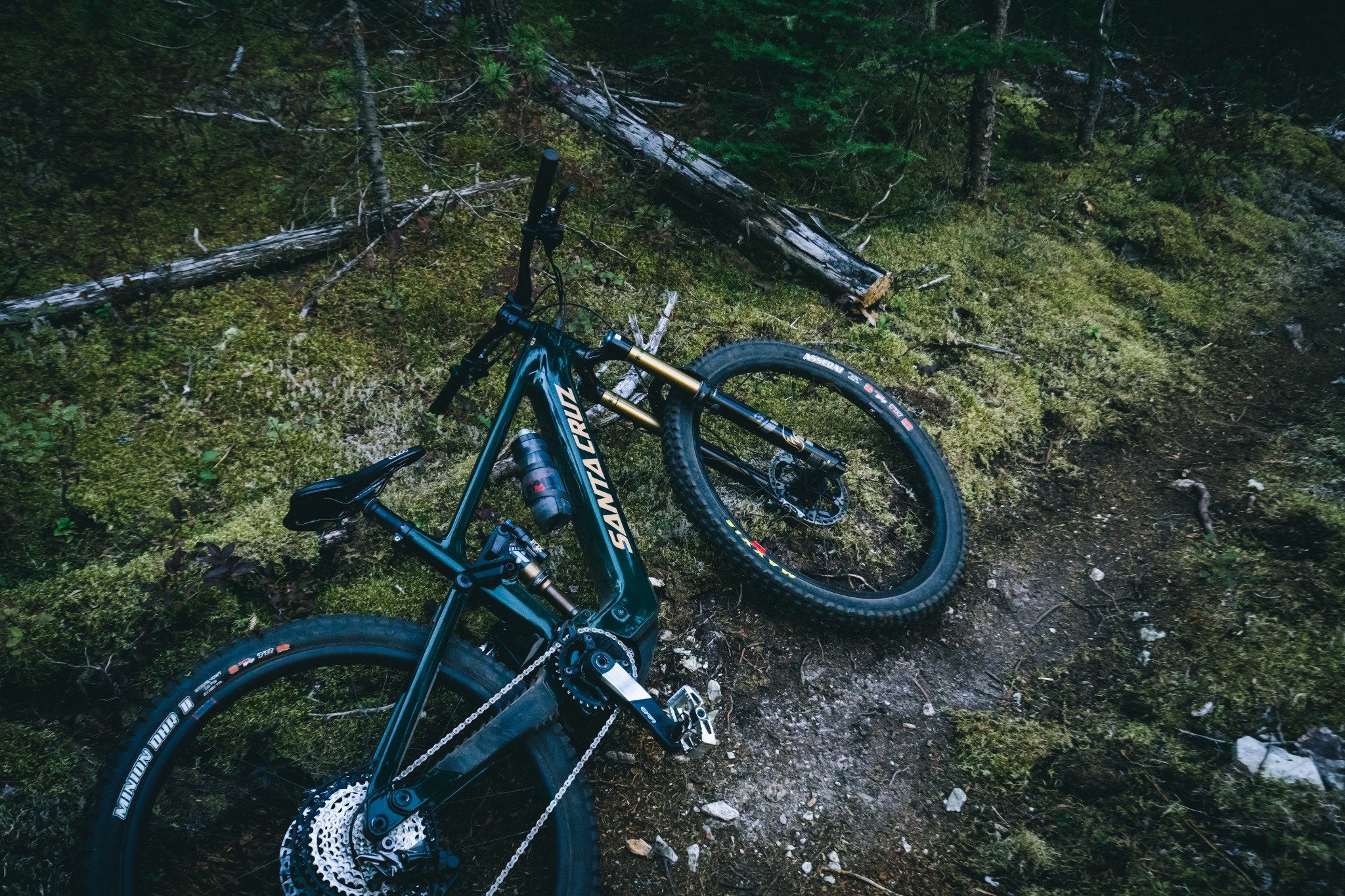 Santa Cruz Mountainbike auf Waldboden liegend, geeignet für Offroad-Touren, robustes Design.