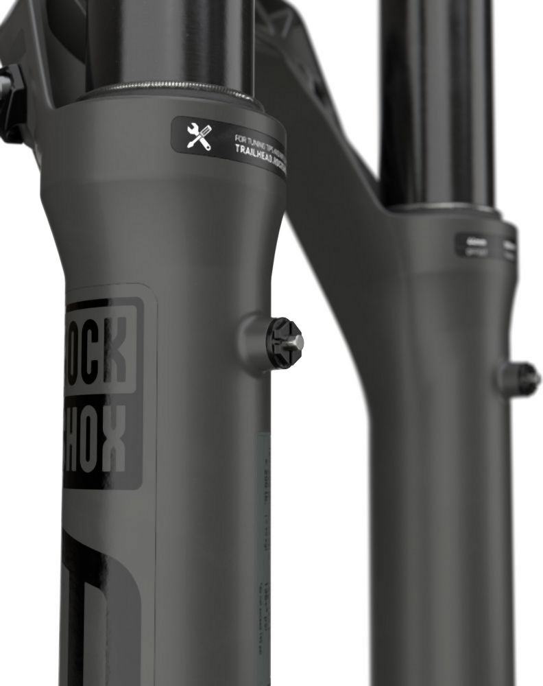 RockShox ZEB Ultimate 29" - Liquid-Life #Wähle Deine Farbe_grau