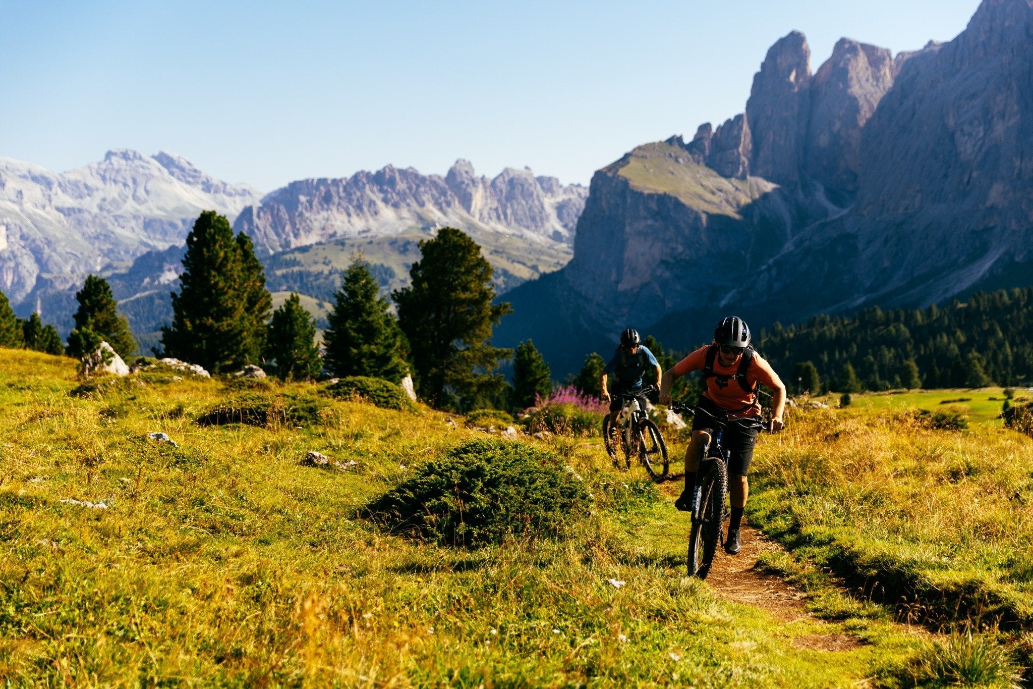 Trek Powerfly+