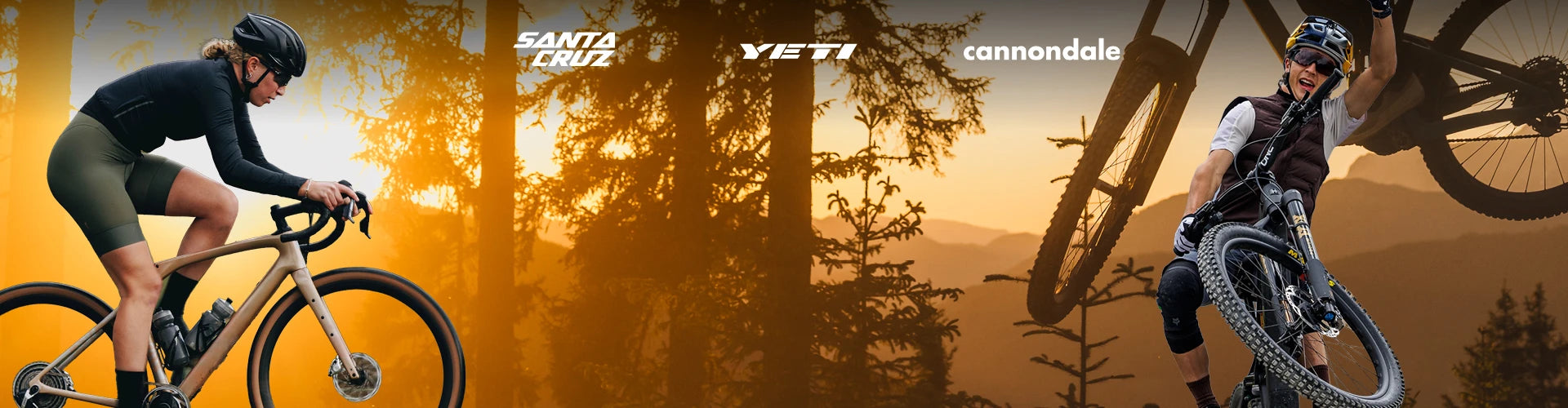 Herbstgold Testevent | Entdecke den Herbst