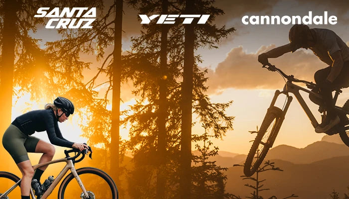 Herbstgold Testevent | Entdecke den Herbst