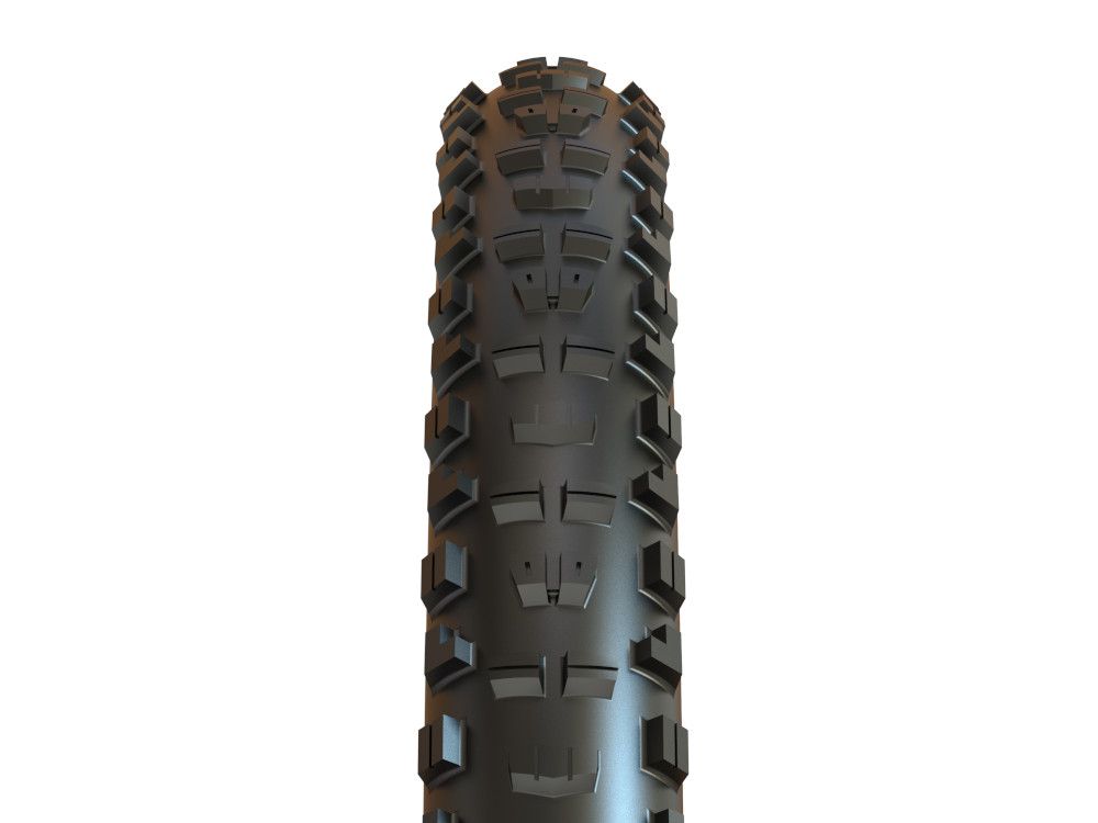 Maxxis Minion DHR II 3C MaxxTerra TLR EXO+ WT 29