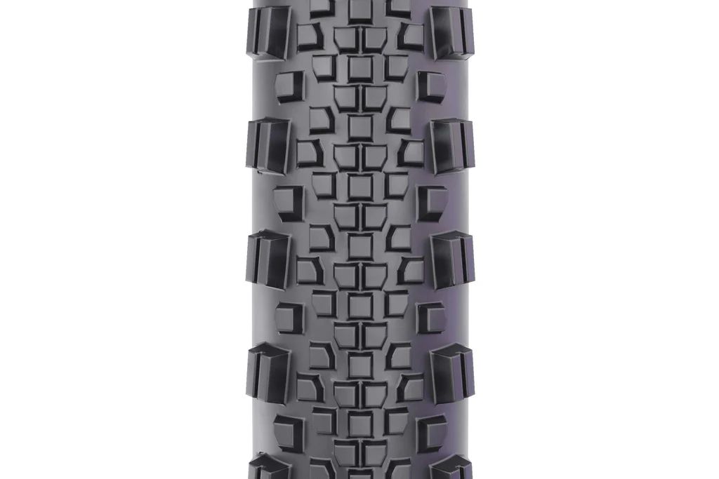 WTB RADDLER TCS