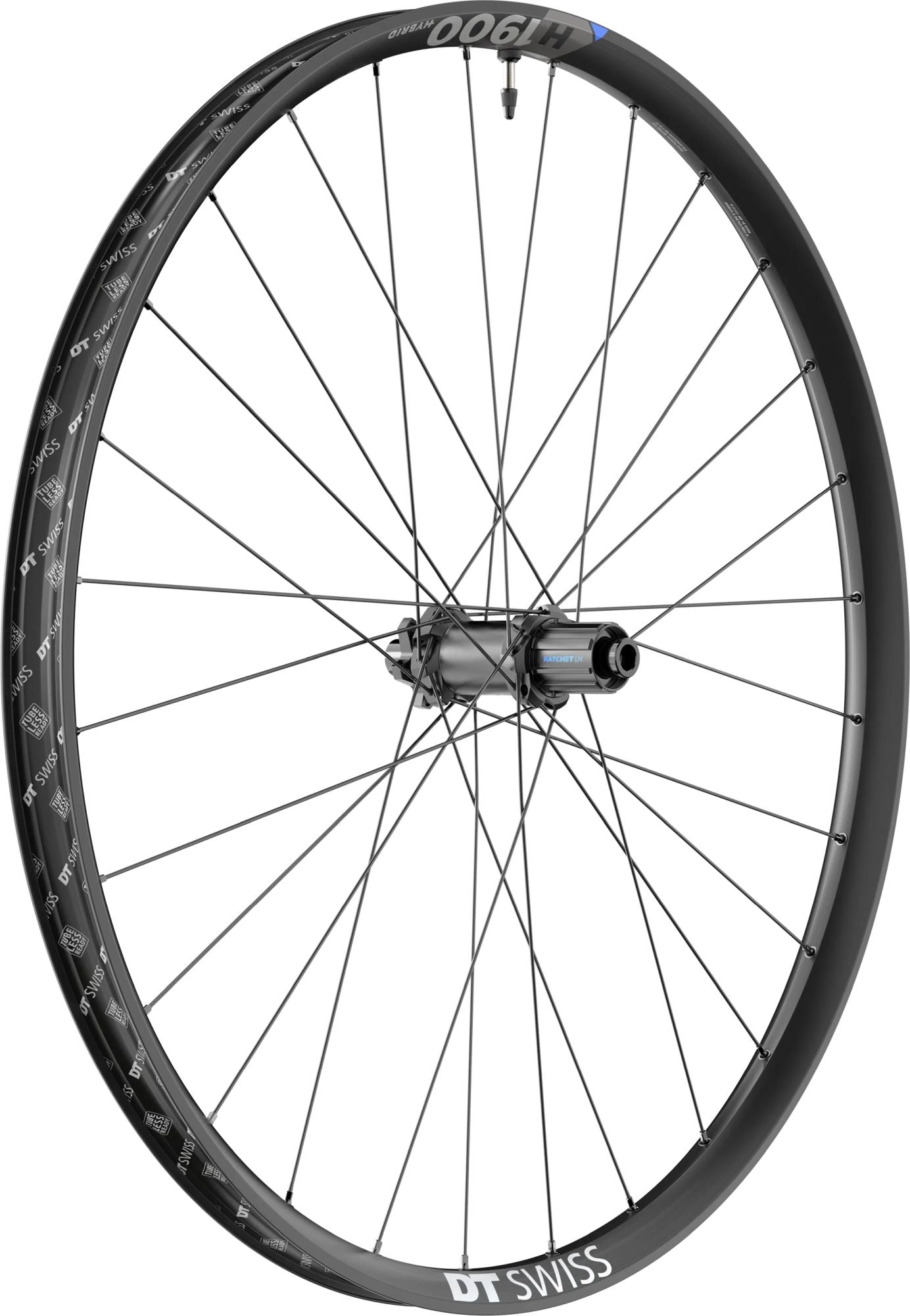 DT SWISS DT Swiss Laufrad H 1900 Spline 35 DB - Liquid-Life #Wähle Deine Farbe_schwarz