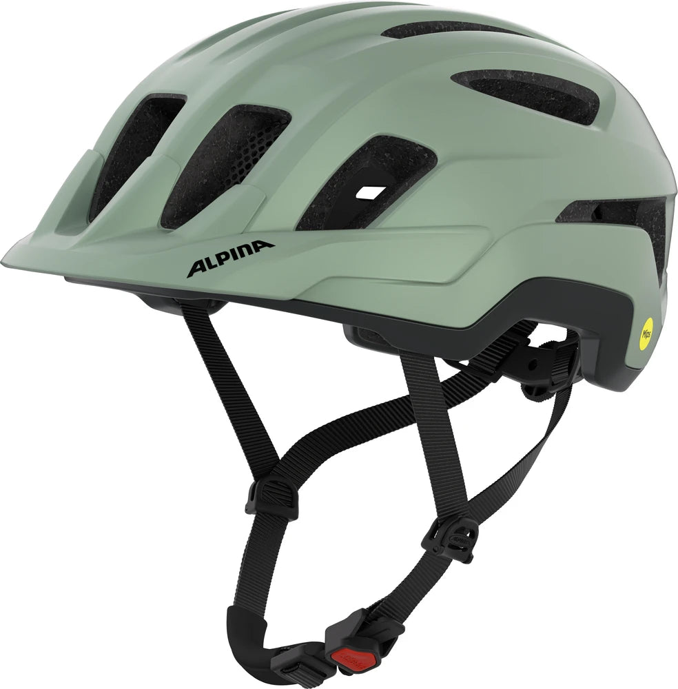 Alpina Paranus Mips - Liquid-Life #Wähle Deine Farbe_willow/green