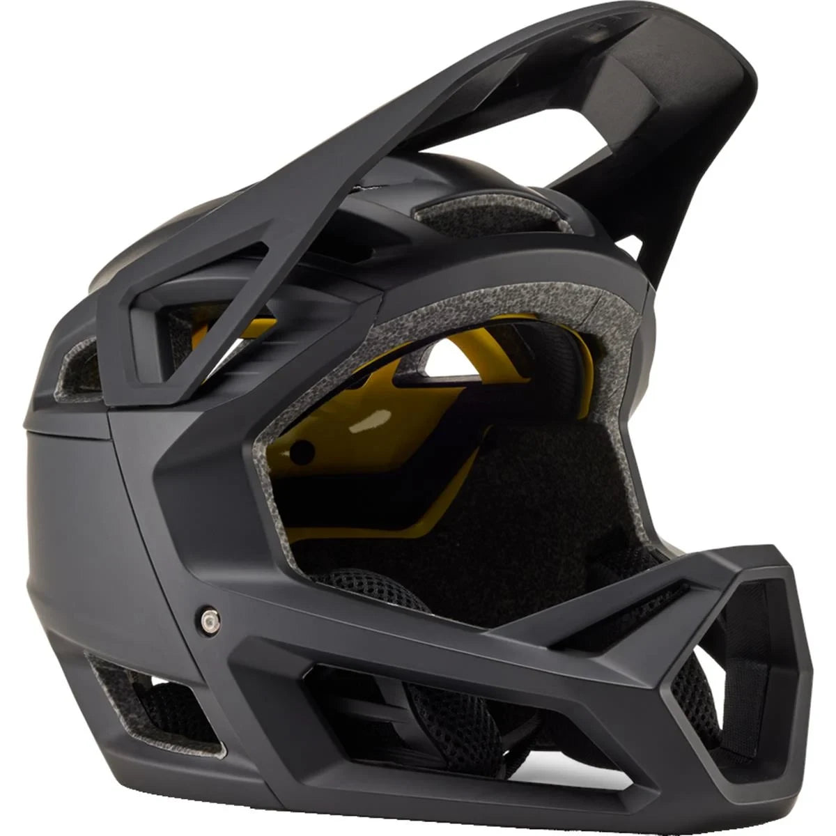 Fox Proframe CE - Liquid-Life #Wähle Deine Farbe_matte black