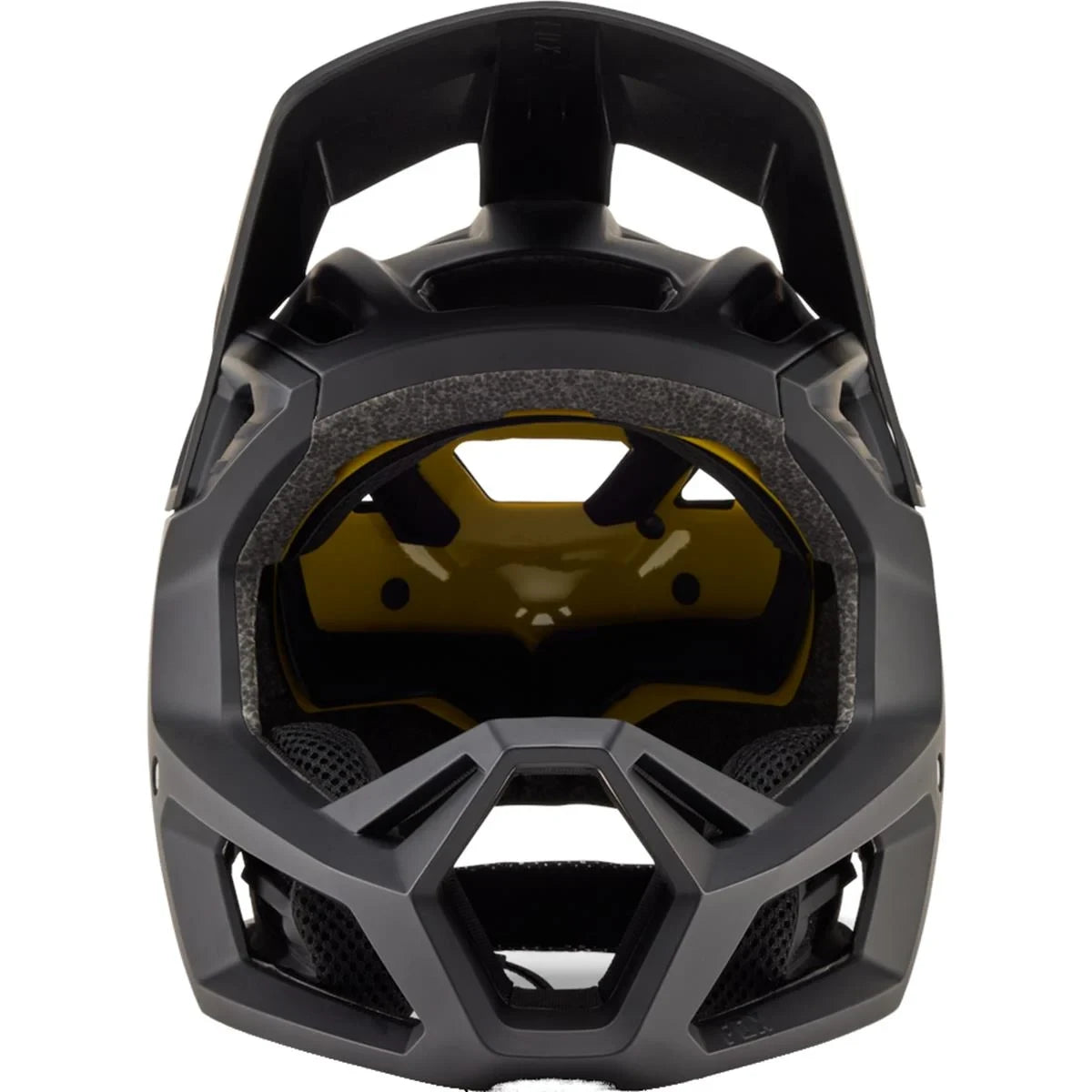 Fox Proframe CE - Liquid-Life #Wähle Deine Farbe_matte black