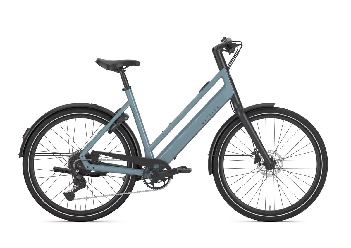 Gazelle Curb T9 360 Wh thunder grey EE 2027