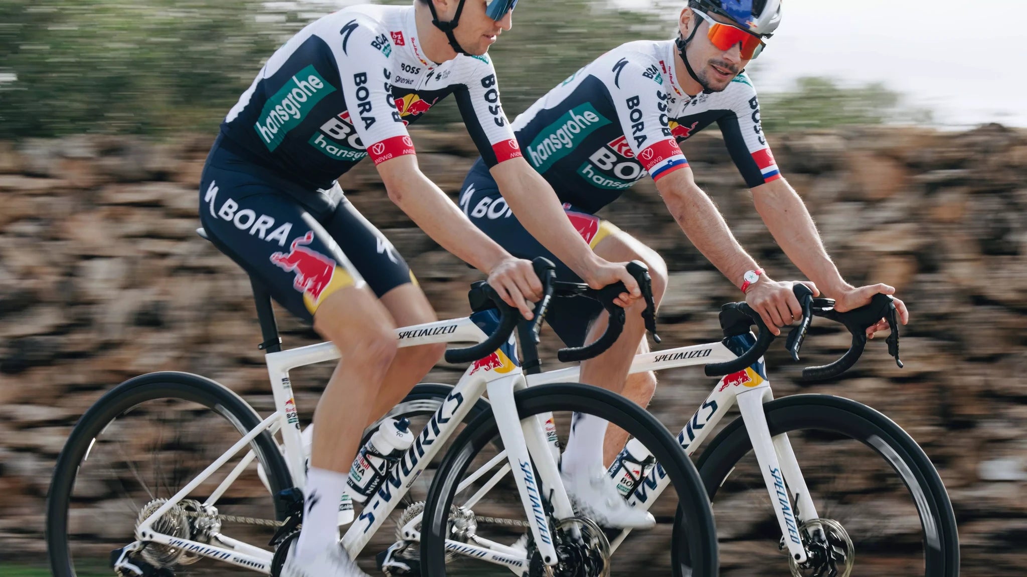 Specialized S-Works Tarmac SL8 Team Replica