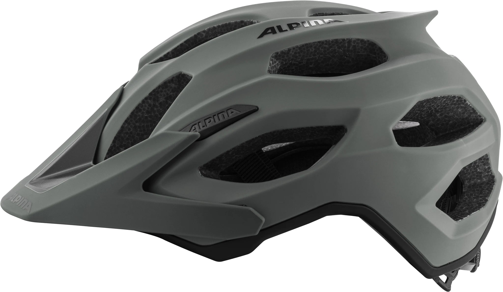 Alpina Carapax 2.0