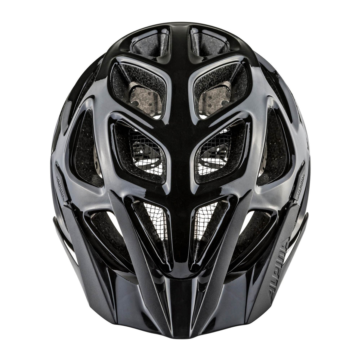 Alpina Thunder 3.0 - Liquid-Life #Wähle Deine Farbe_black-anthracite gloss