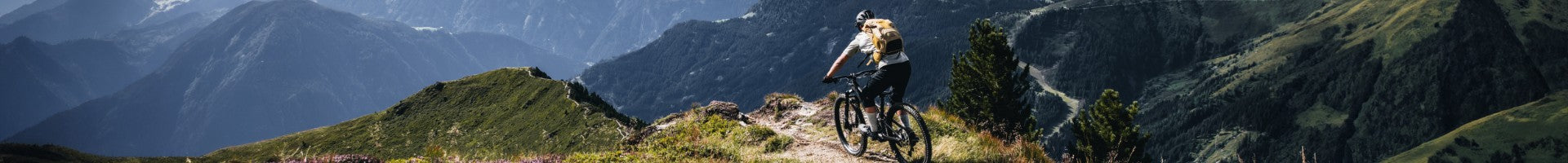 Person auf Specialized-Mountainbike fährt durch alpines Gelände. Ideal für Abenteurer und Outdoor-Enthusiasten.