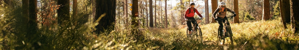 Zwei Personen fahren mit Mountainbikes auf einem Waldweg. Sonnenlicht strahlt durch die Bäume.