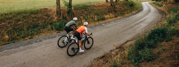 Specialized Roubaix Beratung und kaufen bei Liquid-Life.d