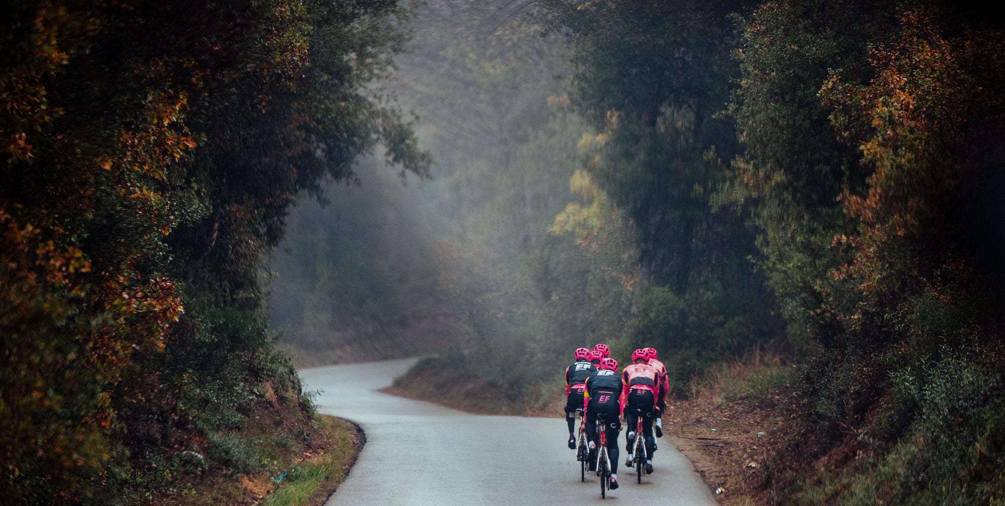 Radfahrer in EF-Teamkleidung auf Landstraße im Wald; neblige Atmosphäre; Cannondale SuperSix-Modelle mutmaßlich im Einsatz.