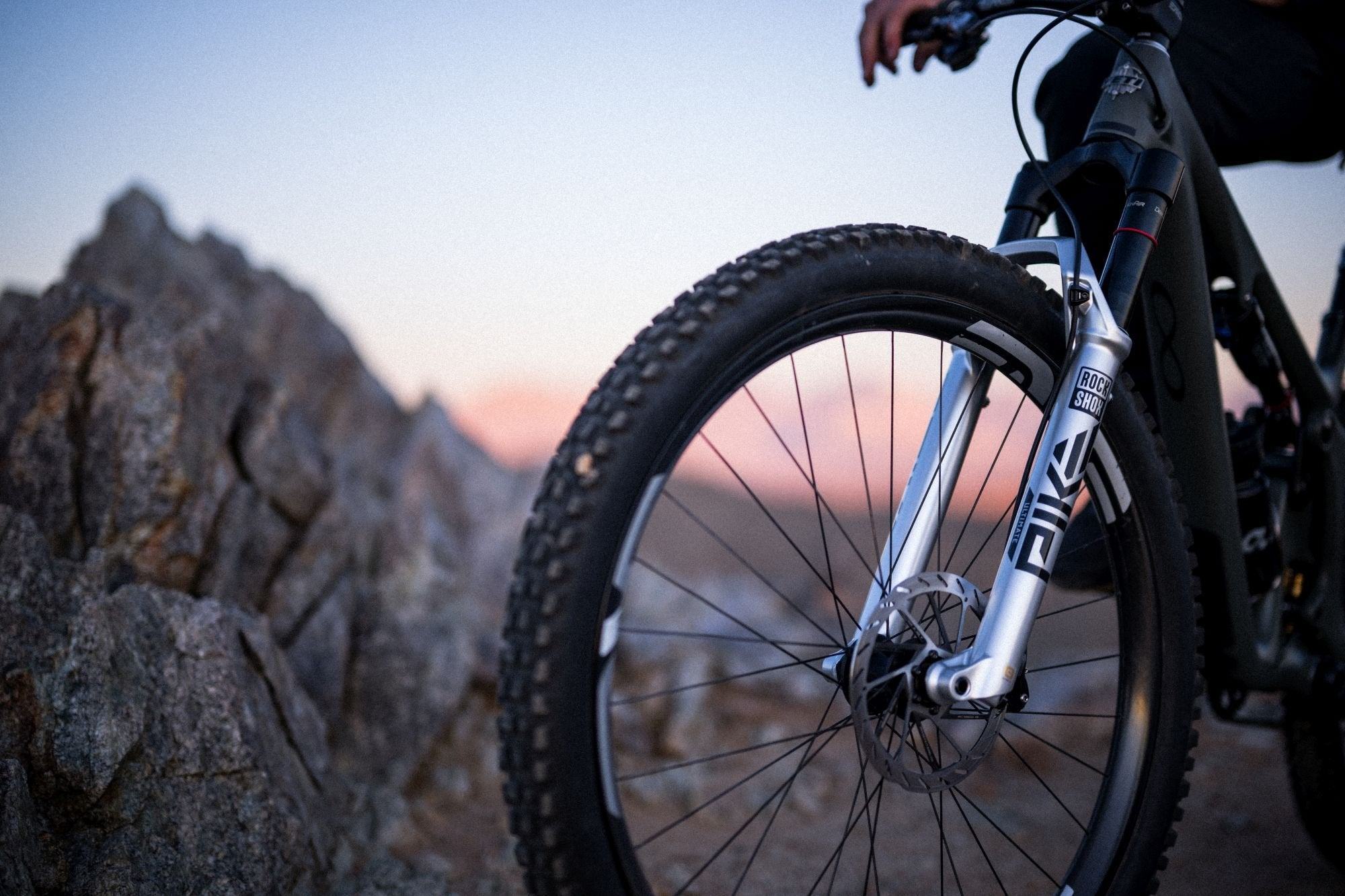 RockShox Pike Ultimate 29" 2023 - Liquid-Life #Wähle Deine Farbe_silber
