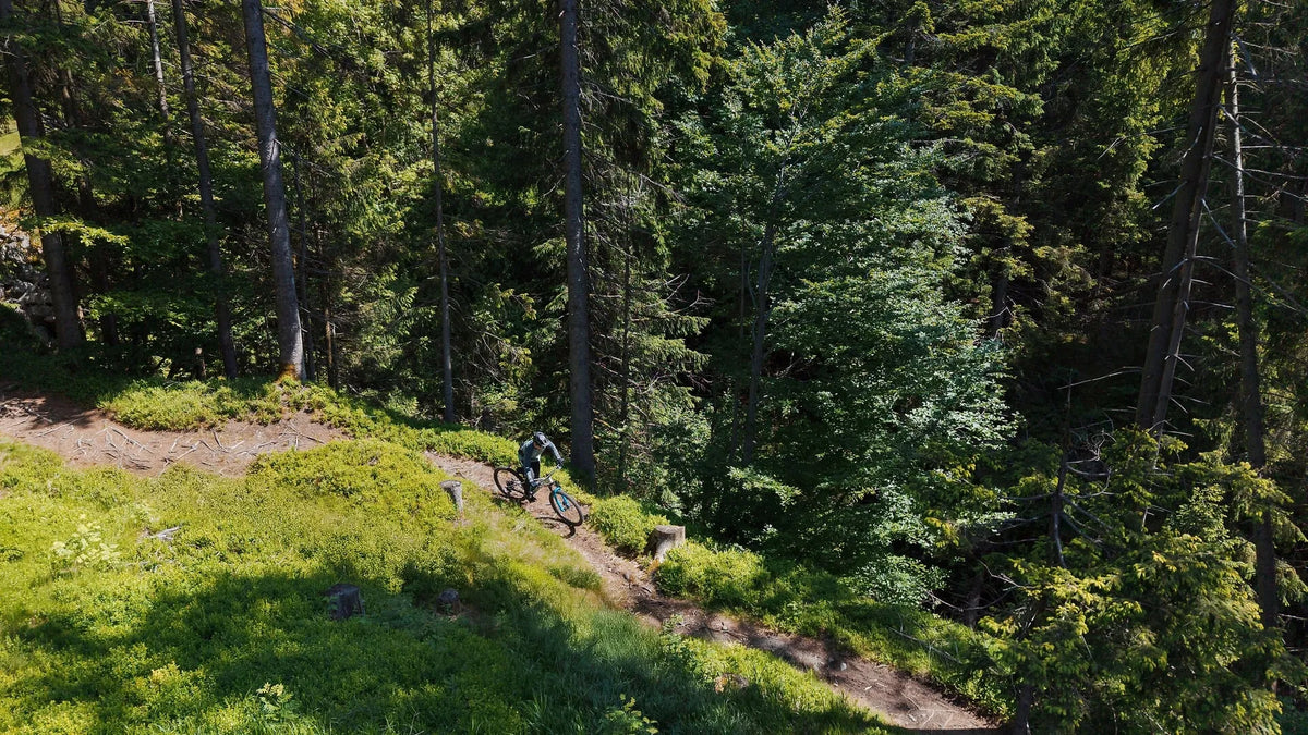 Cube REACTION TM
PRO Fahrer fährt auf einem schmalen Waldpfad durch dicht bewachsene Bäume, geeignet für Outdoor- und Abenteuerliebhaber.